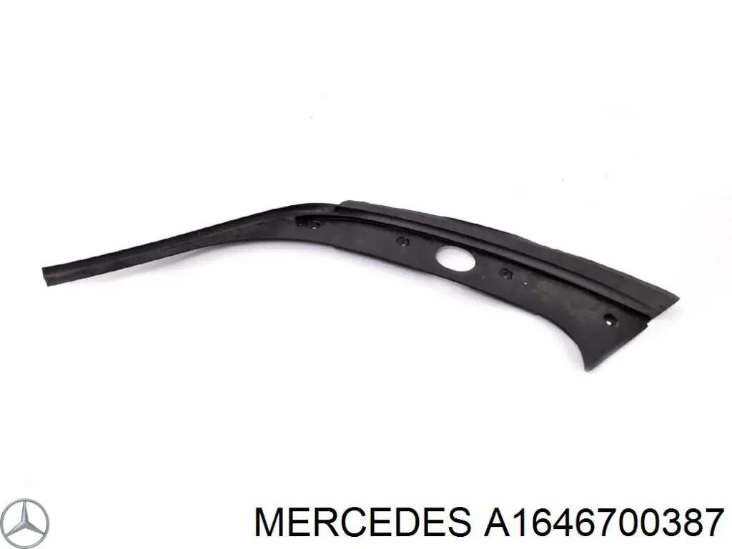 A1646700387 Mercedes 