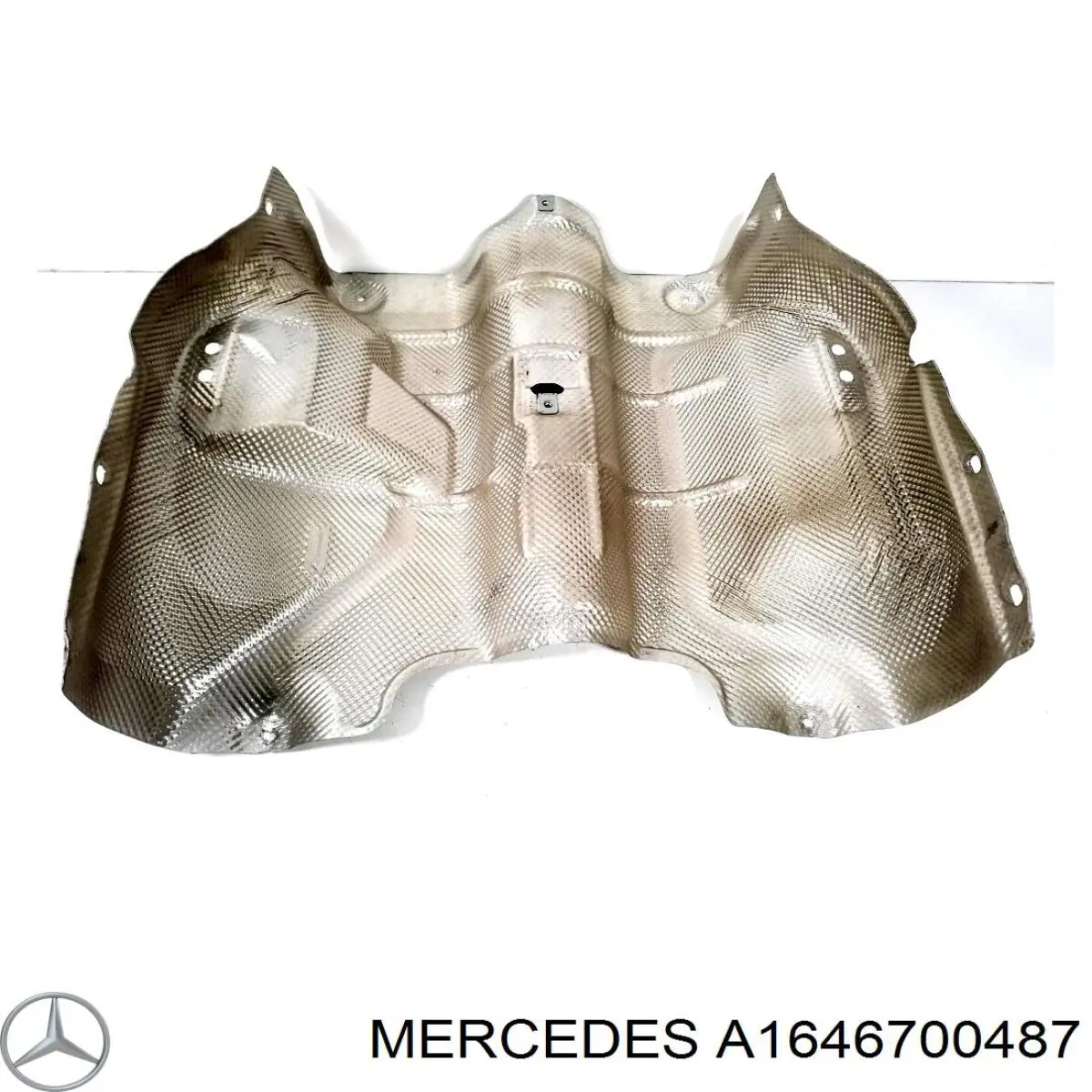  Mercedes A1646700487