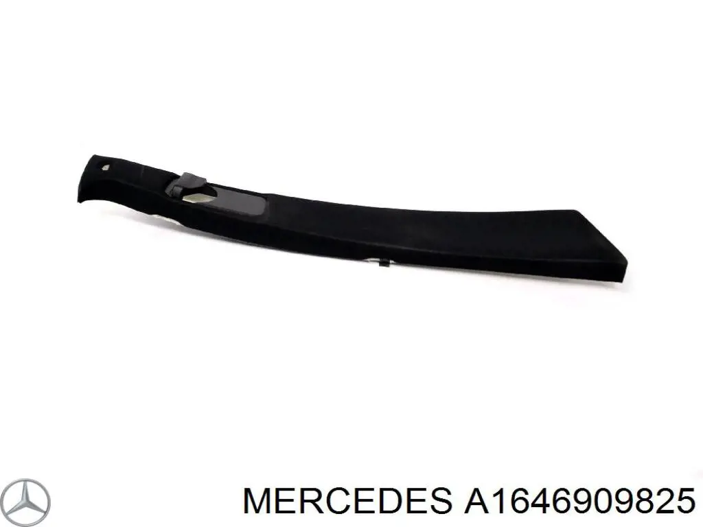  1646909825 Mercedes