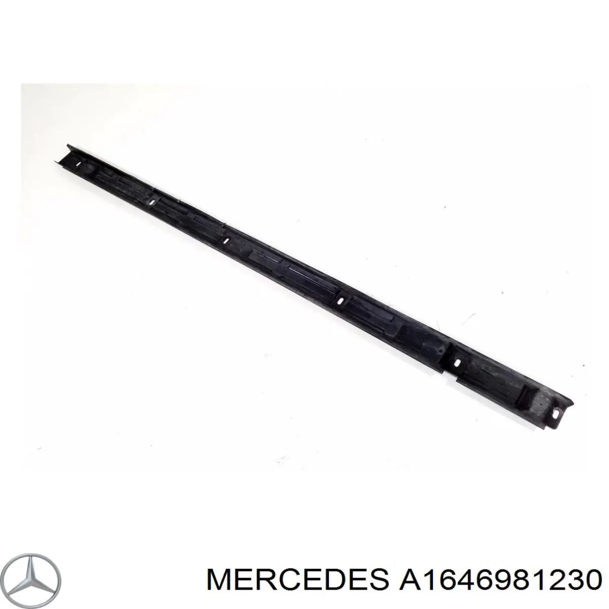 A1646981230 Mercedes 