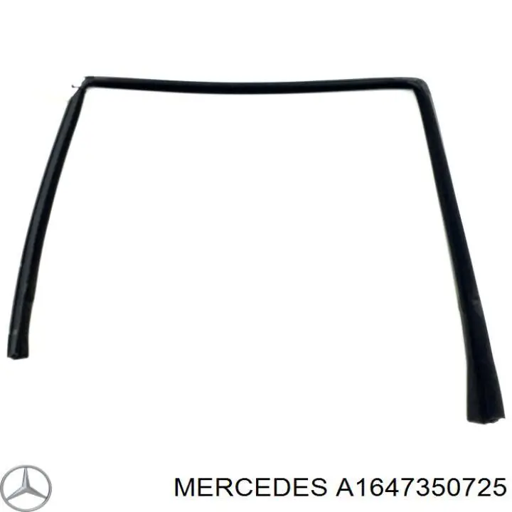  1647350725 Mercedes