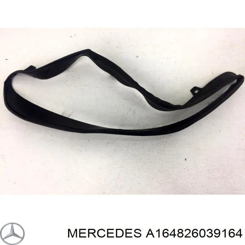 A1648260391 Mercedes 