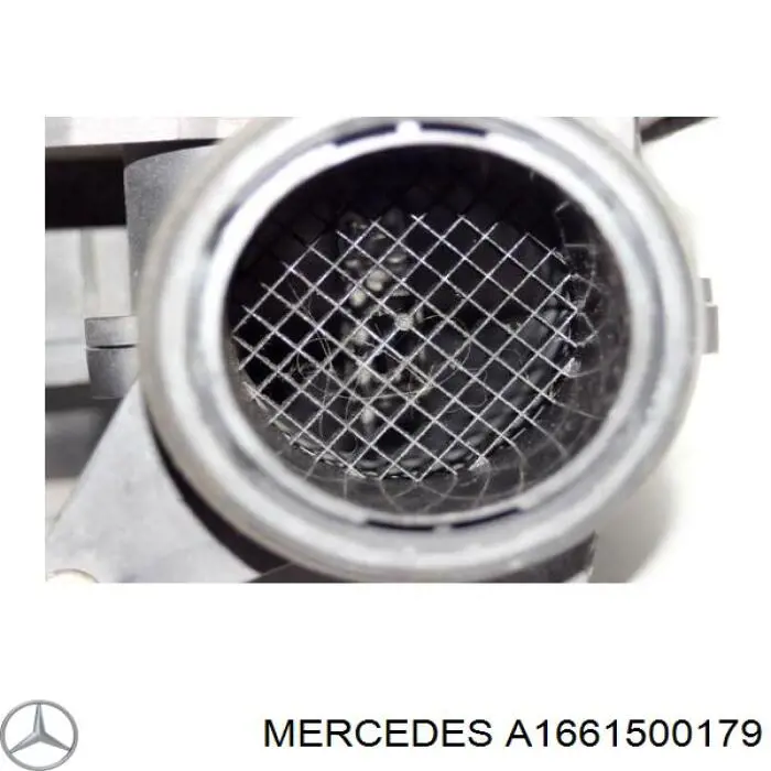  1661500179 Mercedes