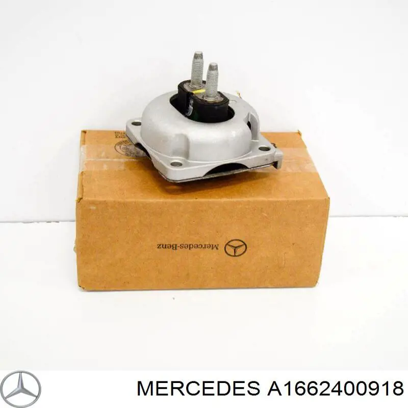 1662400918 Mercedes coxim de transmissão (suporte da caixa de mudança)