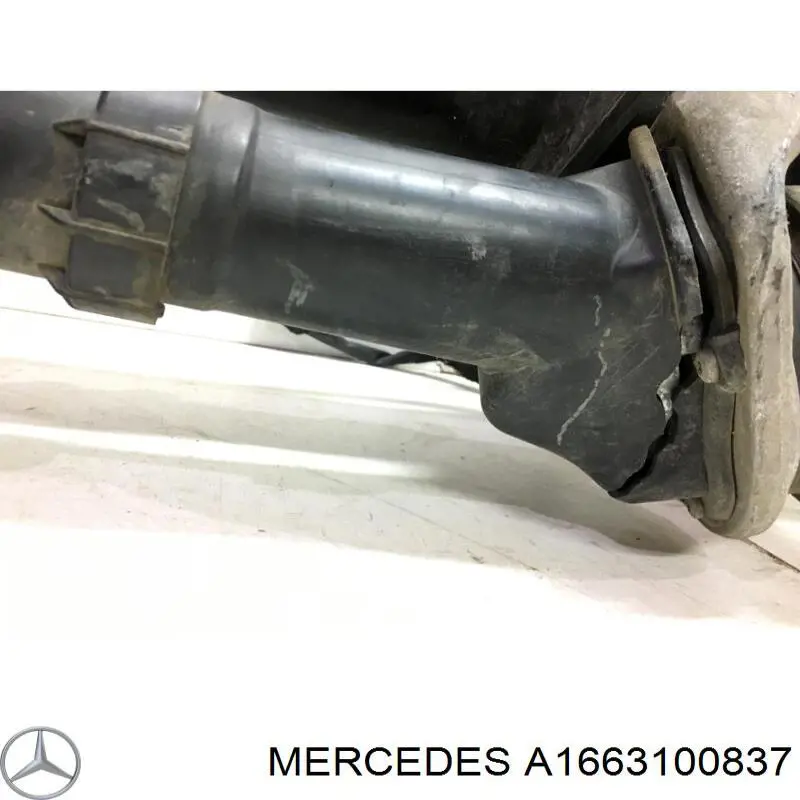 Купить A1663100837 Mercedes 