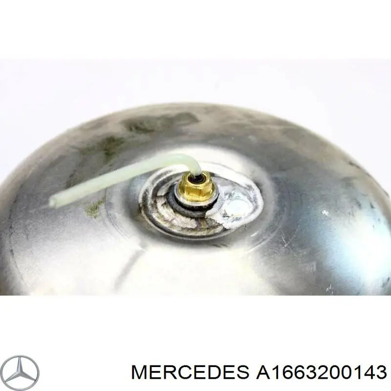  A1663200143 Mercedes