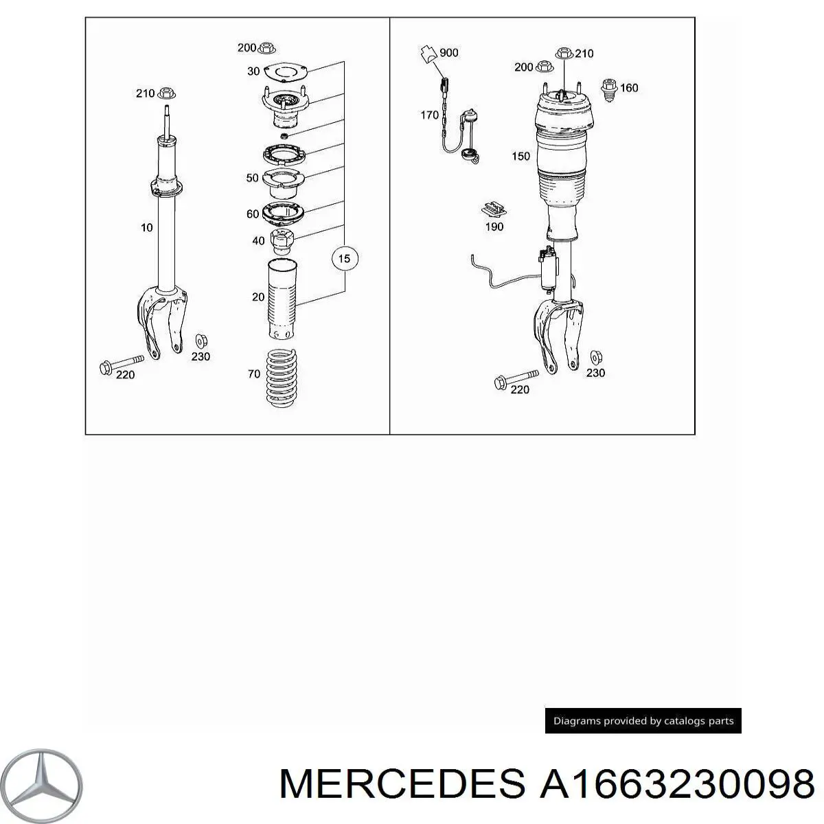 A1663230098 Mercedes 