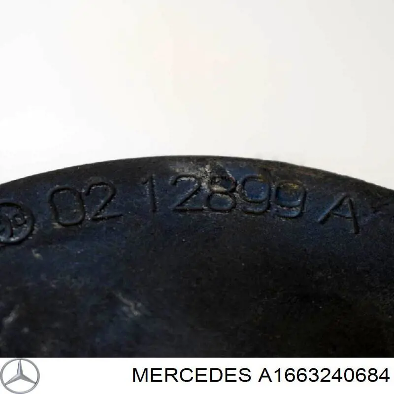 Купить A1663240684 Mercedes 