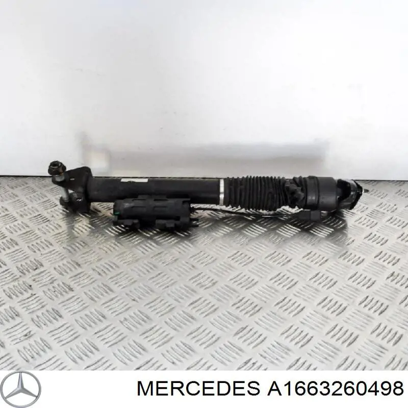  A1663260498 Mercedes