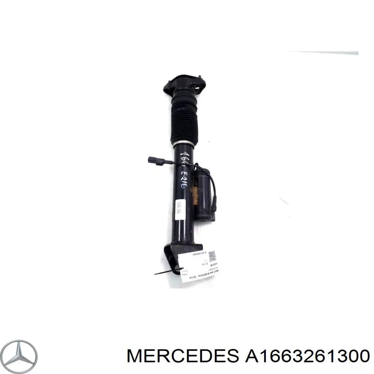 1663261300 Mercedes 