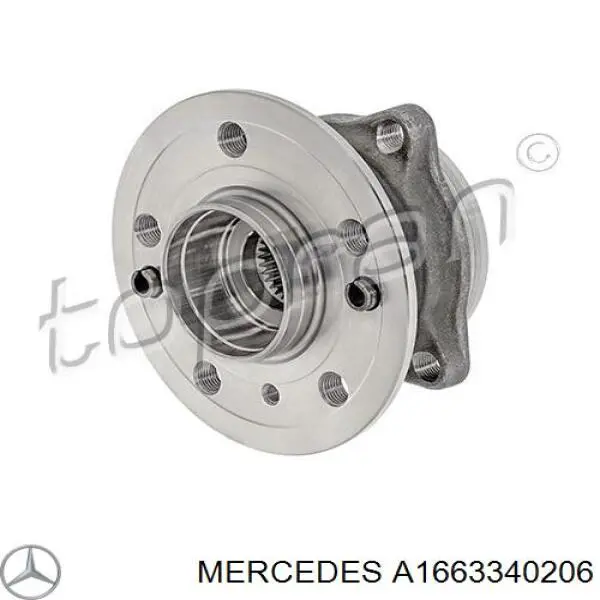 A1663340206 Mercedes