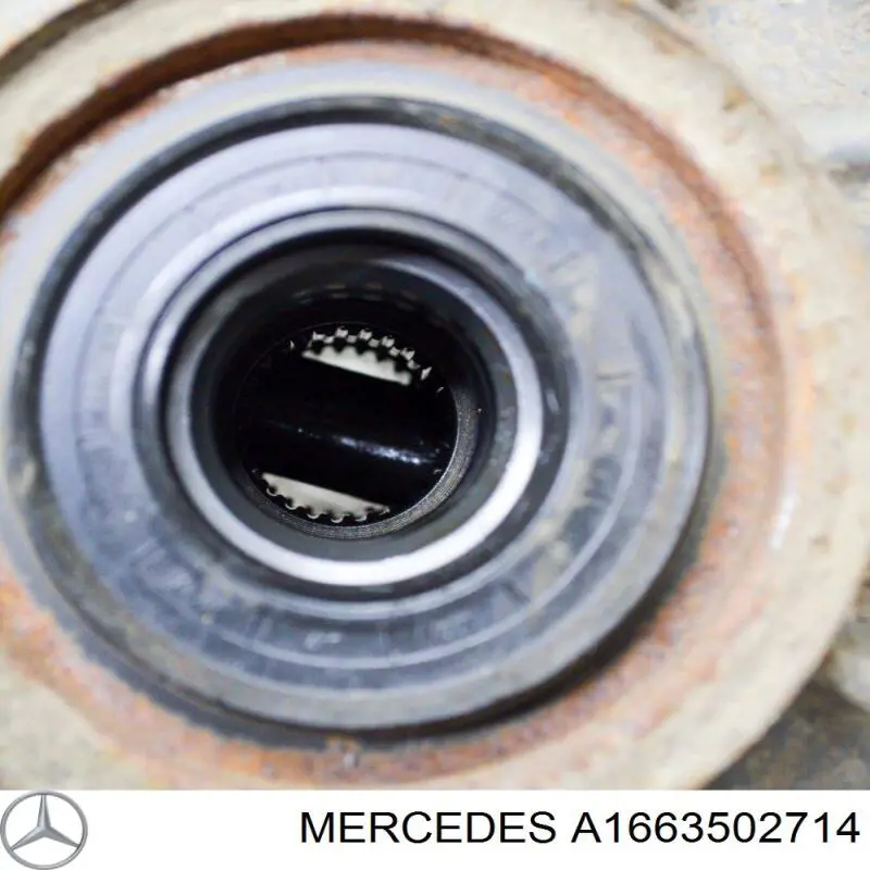 A1663502714 Mercedes Мост задний
