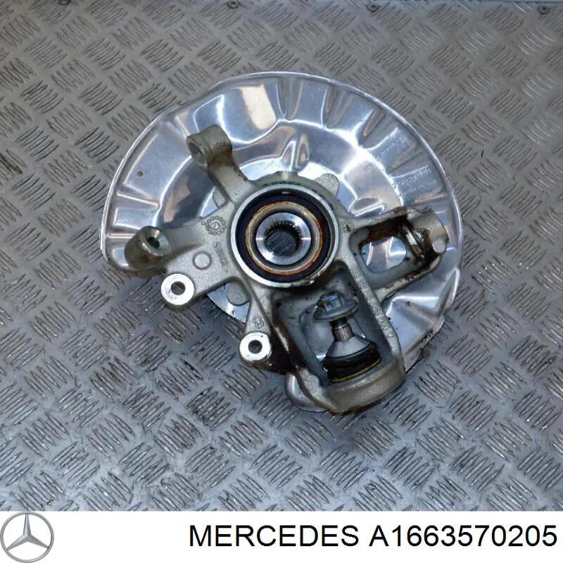 A1663570205 Mercedes 