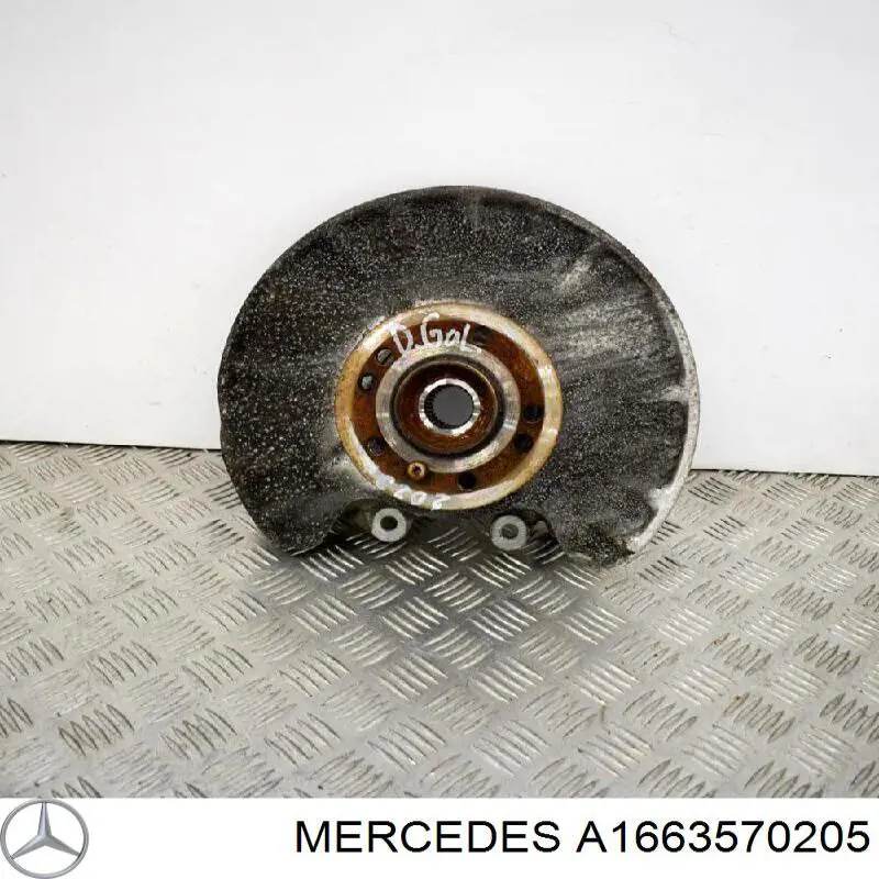 A1663570205 Mercedes 