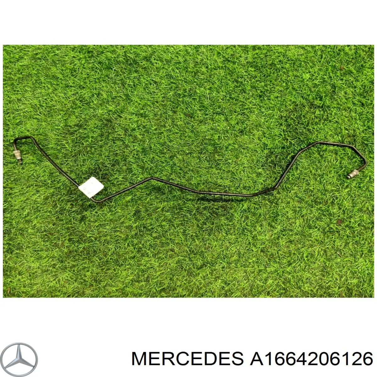  A1664206126 Mercedes