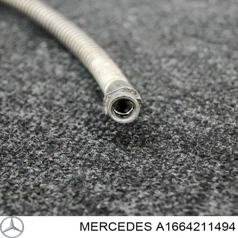  1664211494 Mercedes