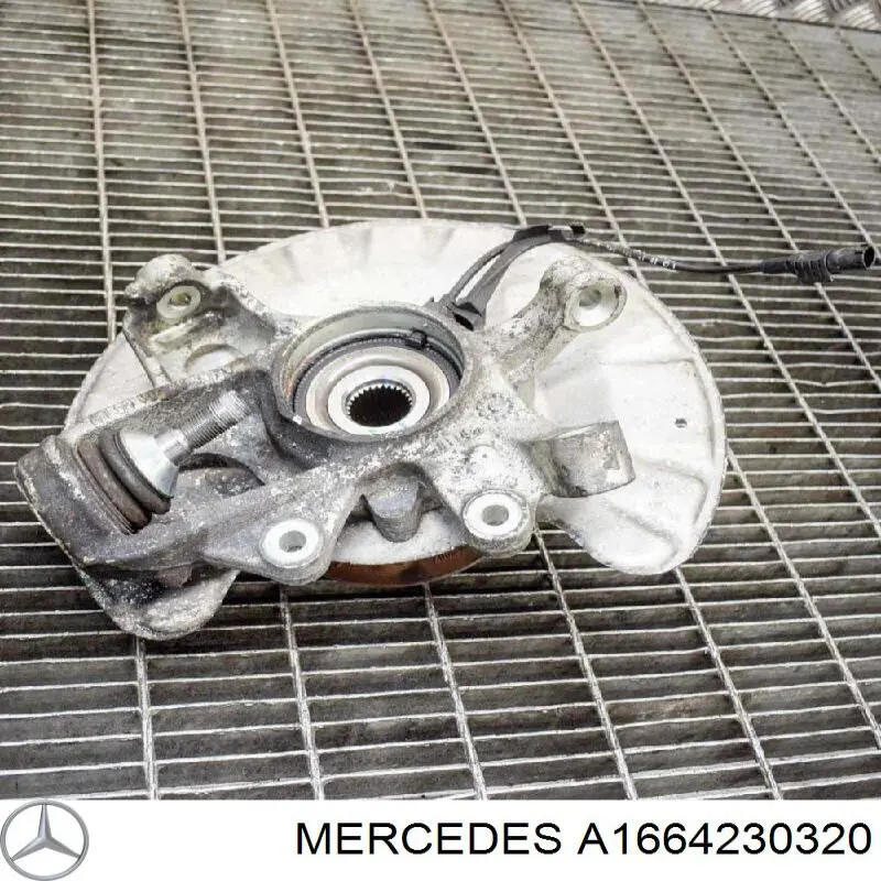 Щиток тормозного диска заднего левый Mercedes A1664230320 цена, от 80.17 USD