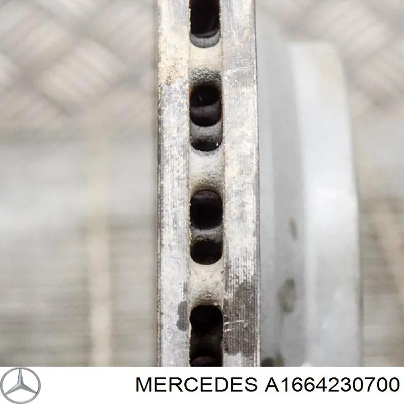 Задний дисковый тормоз Mercedes A1664230700