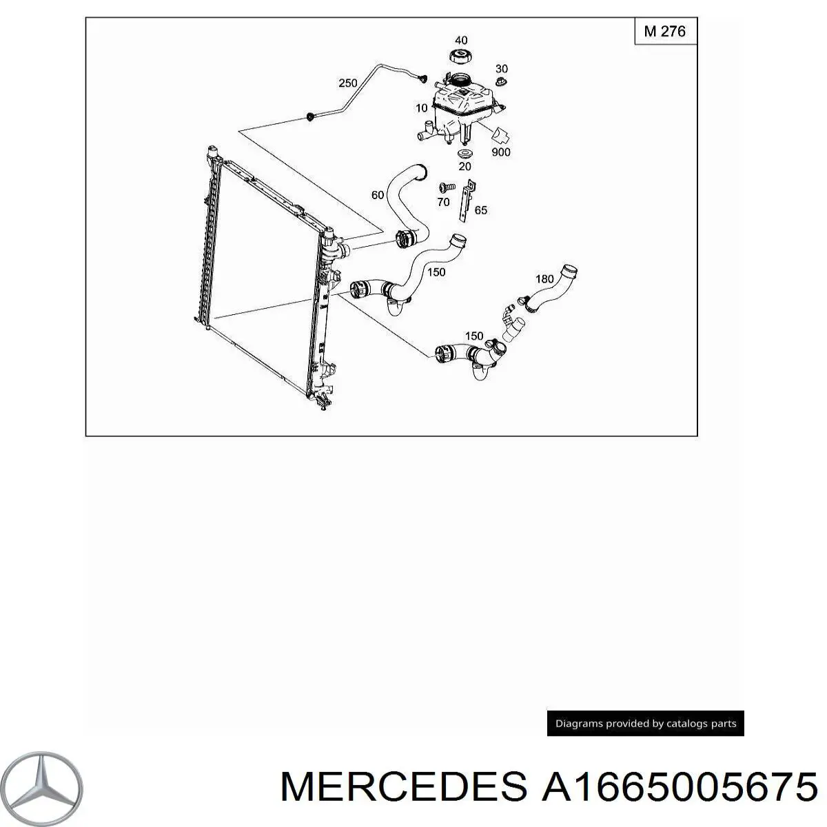  1665005675 Mercedes