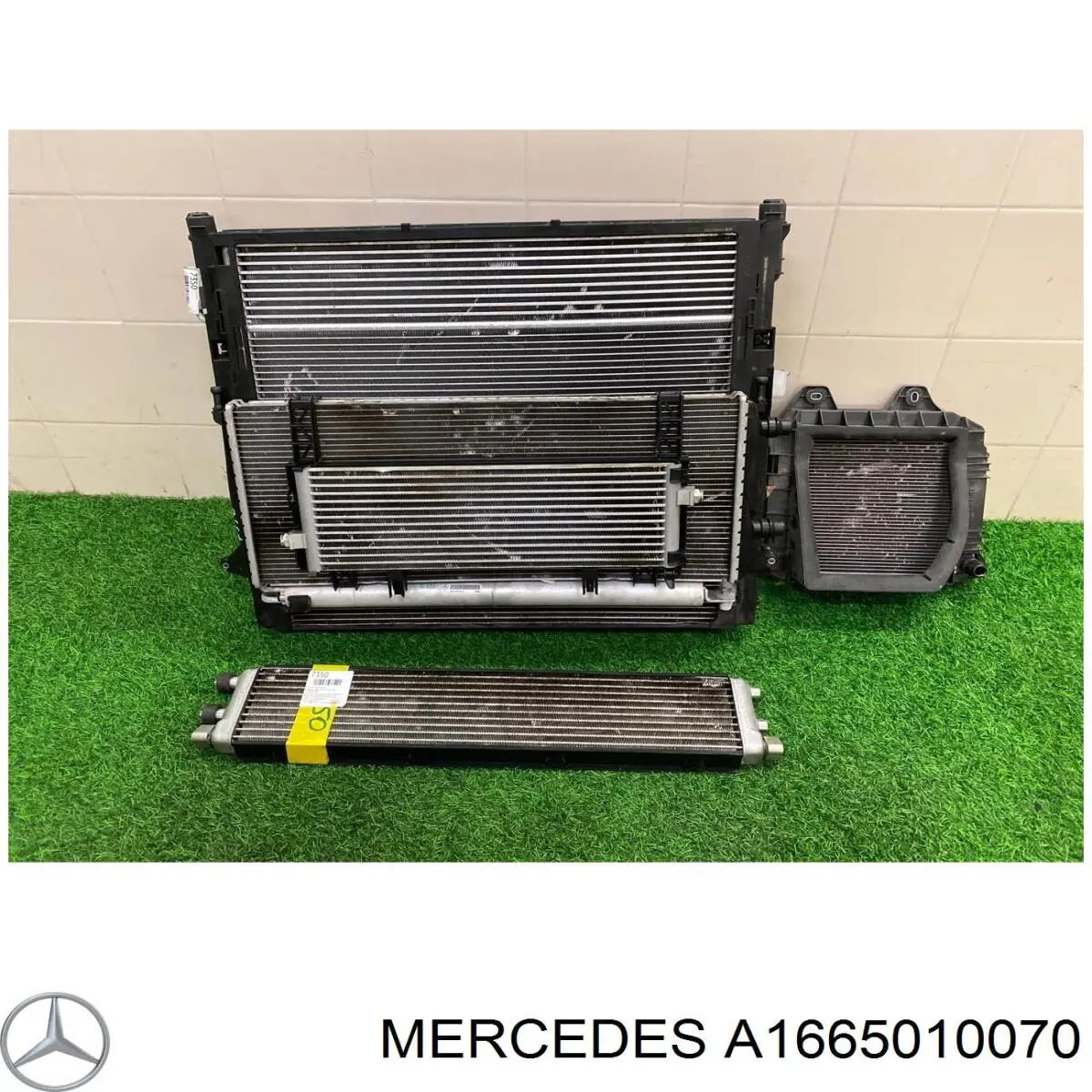  Mercedes A1665010070