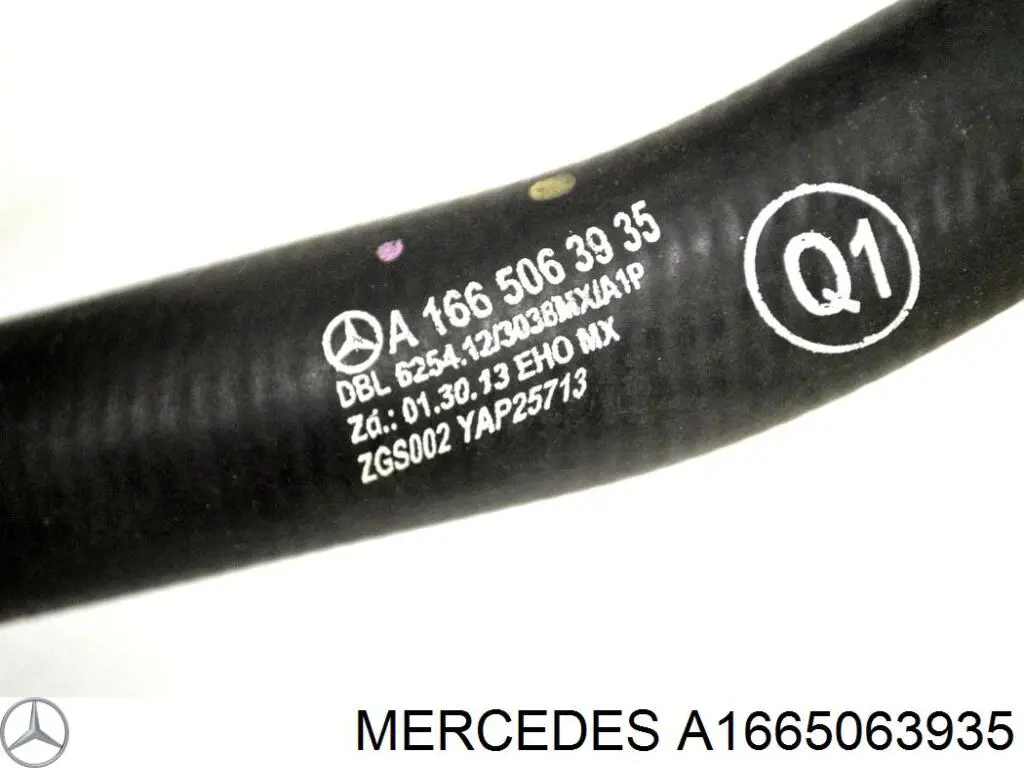  A1665063935 Mercedes