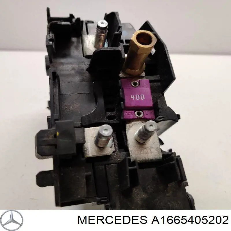 1665405202 Mercedes Монтажный блок предохранителей