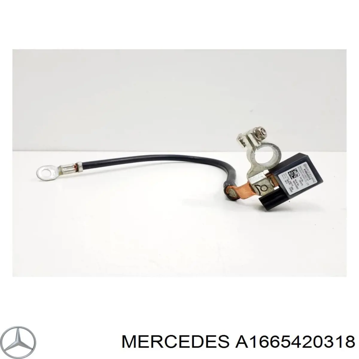  A1665420318 Mercedes