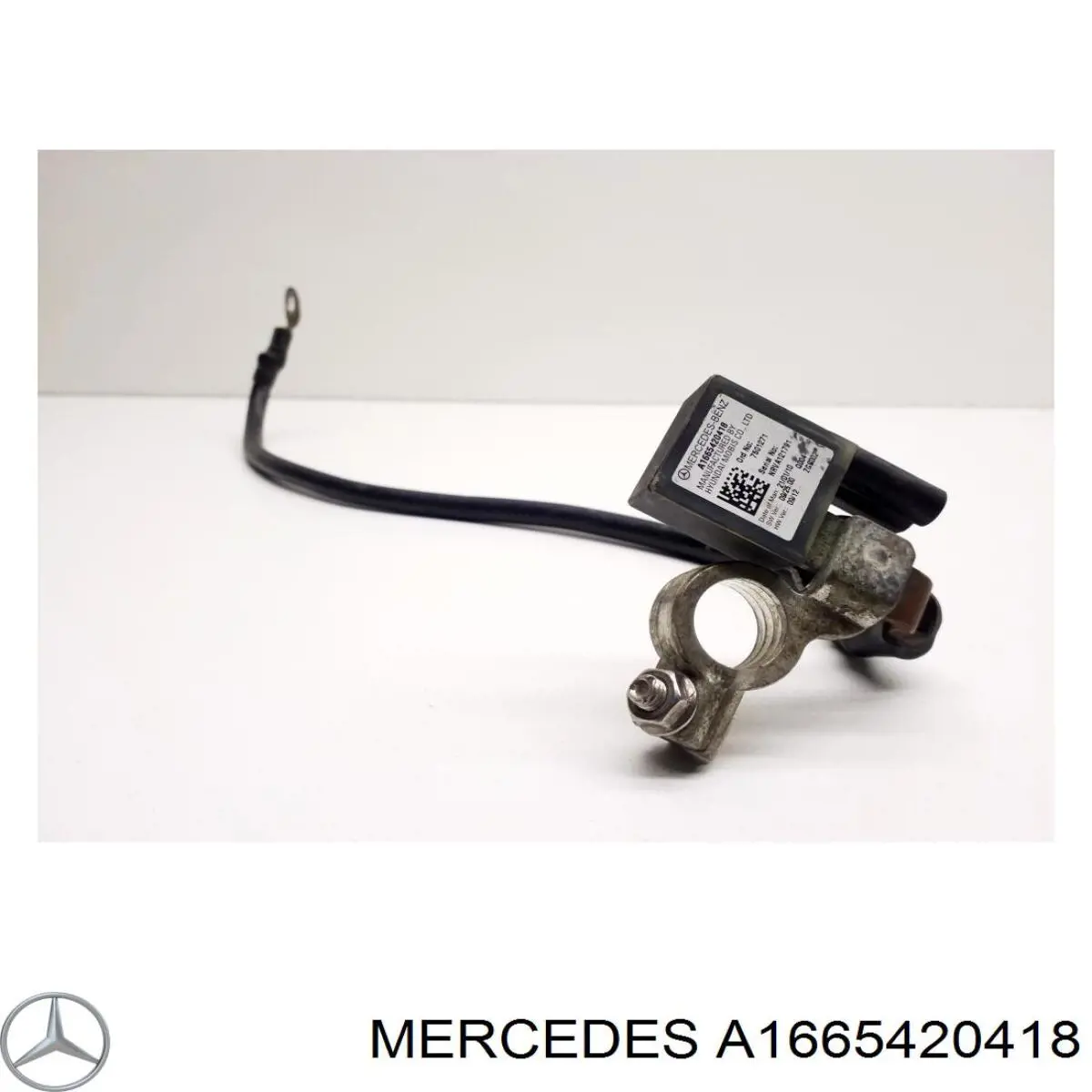  A1665420418 Mercedes