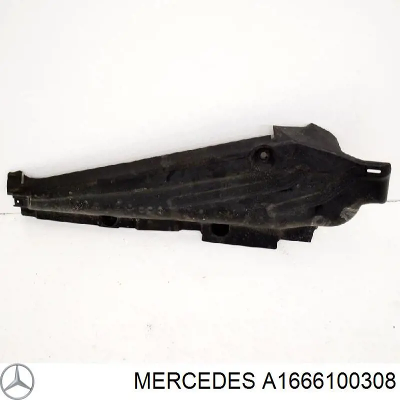 A1666100308 Mercedes 