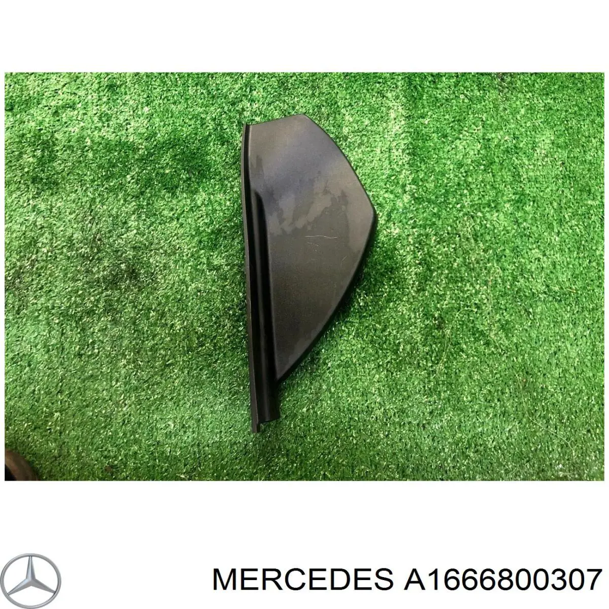  A1666800307 Mercedes