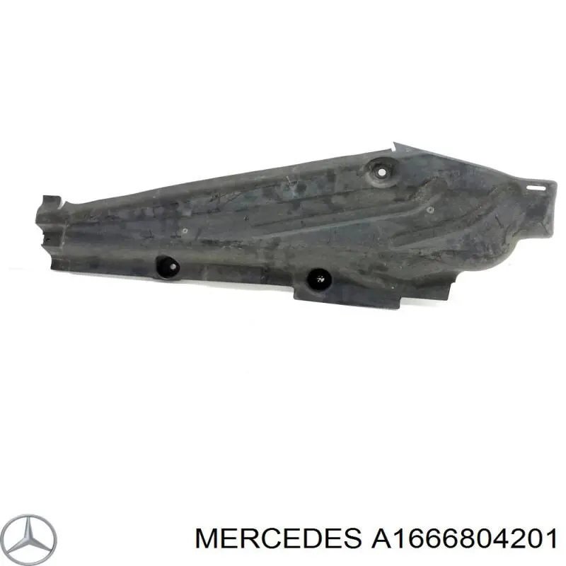 A1666804201 Mercedes 