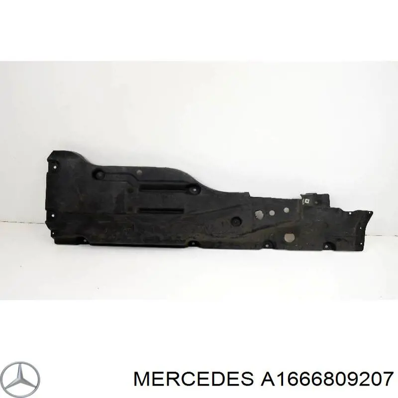 A1666809207 Mercedes 