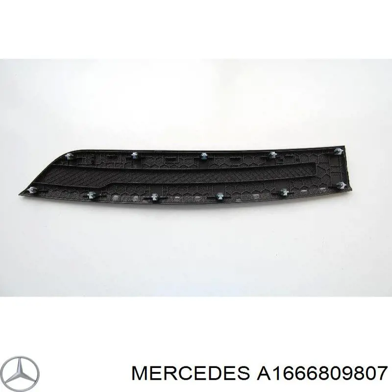  A1666809807 Mercedes