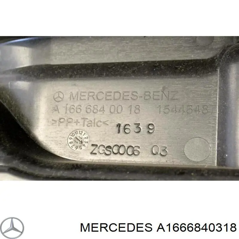  A1666840318 Mercedes