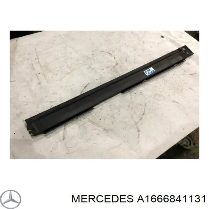 A1666841131 Mercedes 