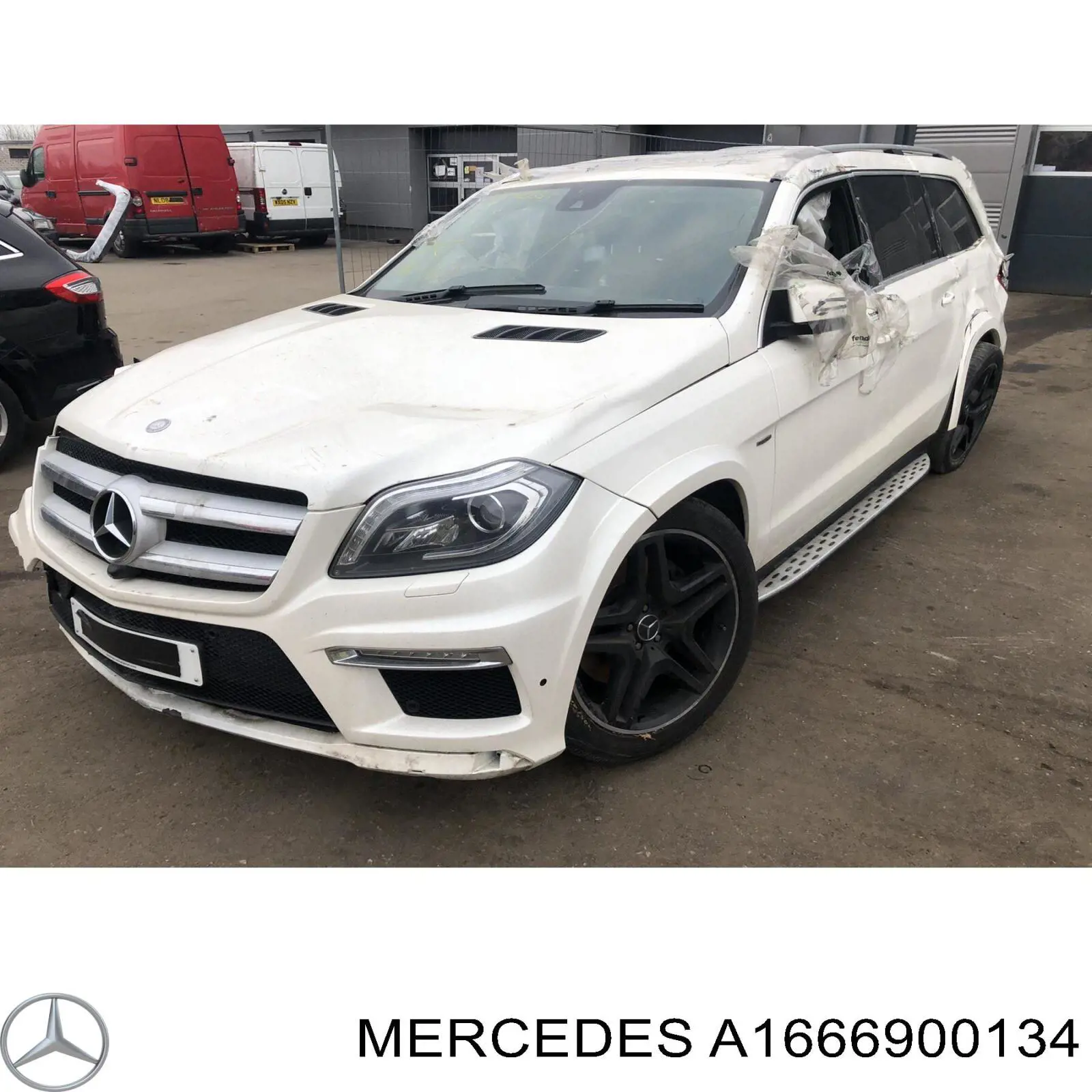  A1666900134 Mercedes