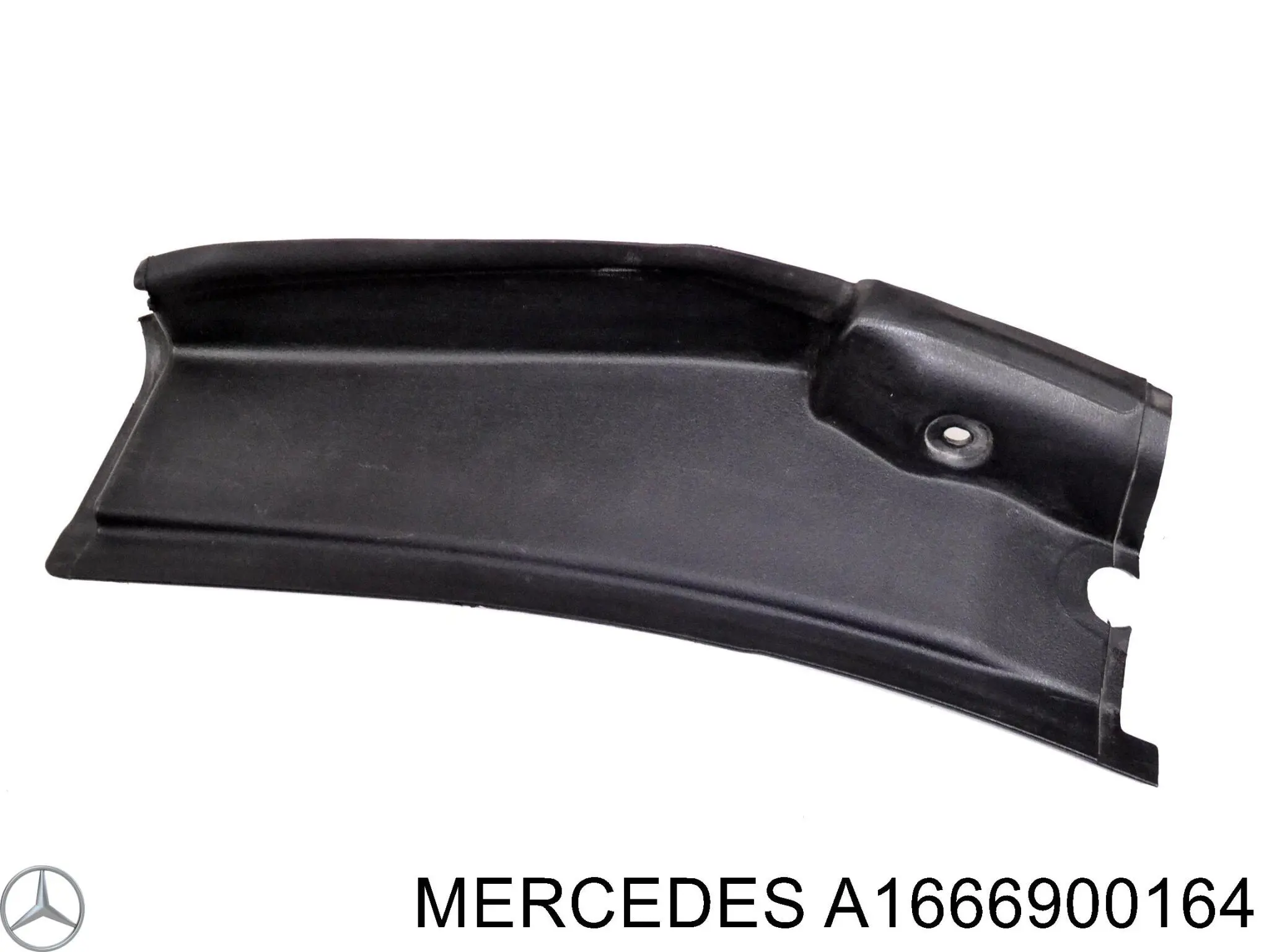 A1666900164 Mercedes 