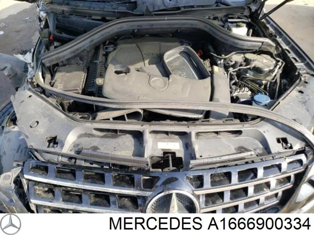  1666900334 Mercedes