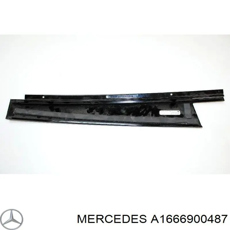 A1666900487 Mercedes 