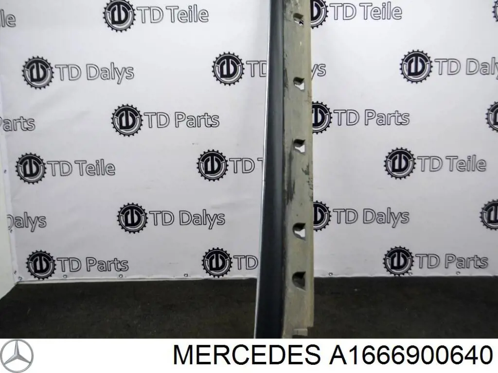 A1666900640 Mercedes 