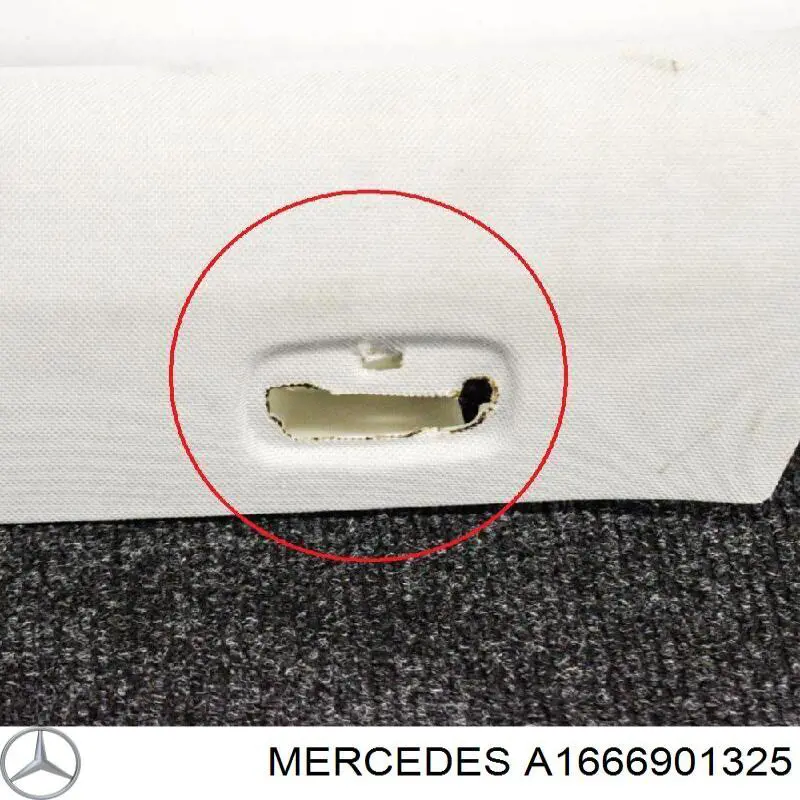 1666901325 Mercedes 