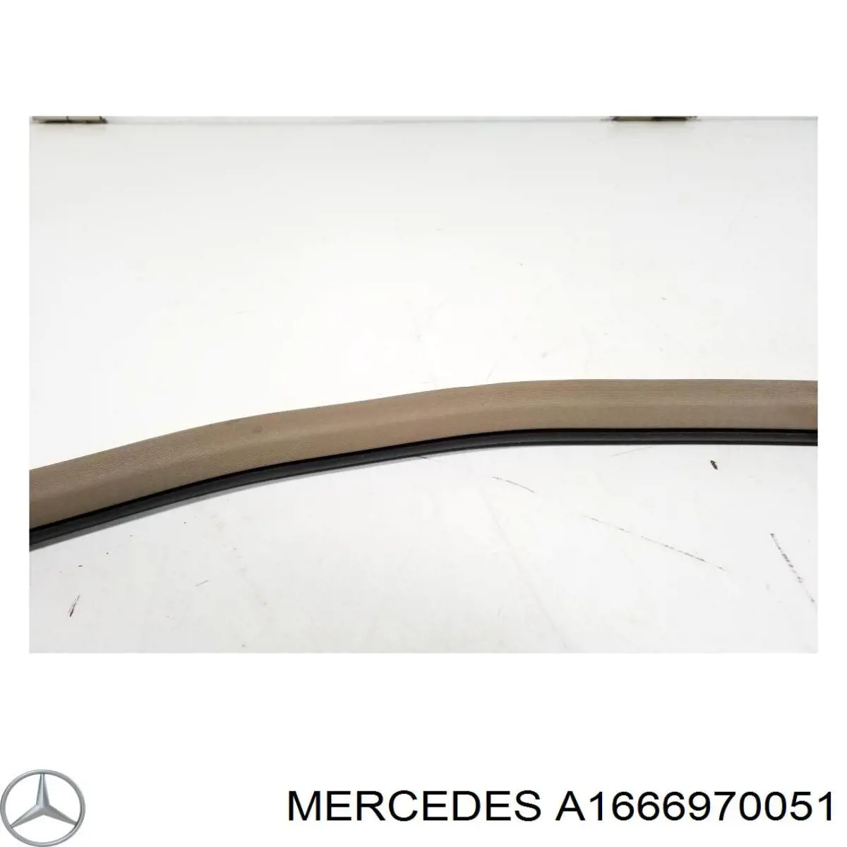 A1666970051 Mercedes 
