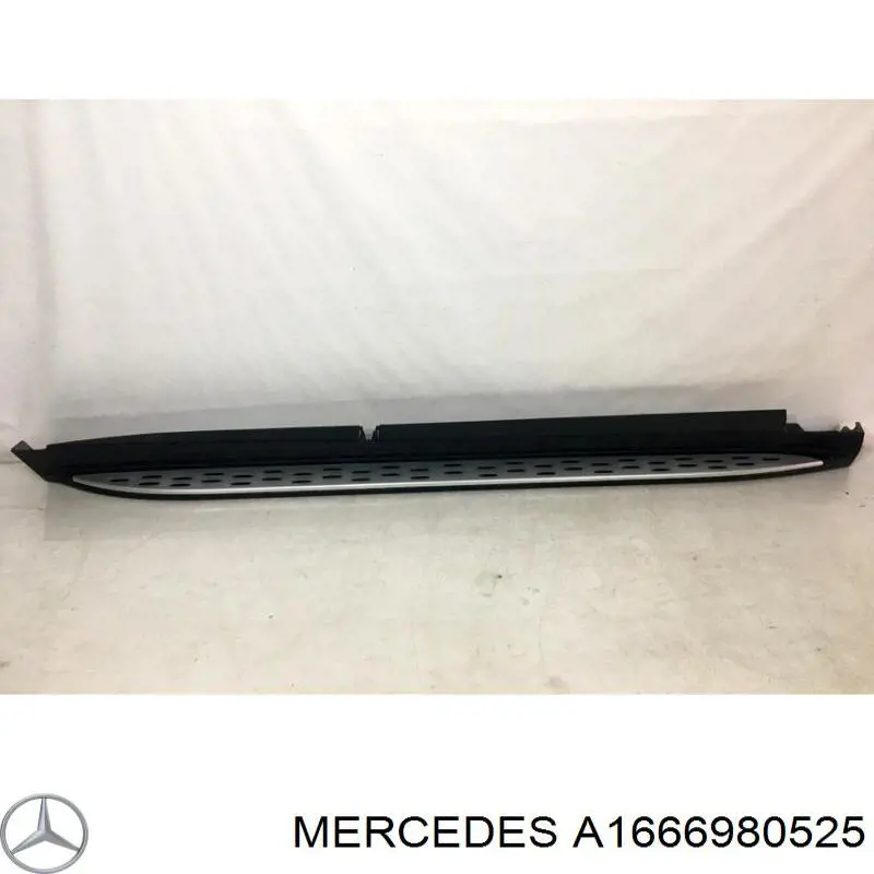 A1666980525 Mercedes 