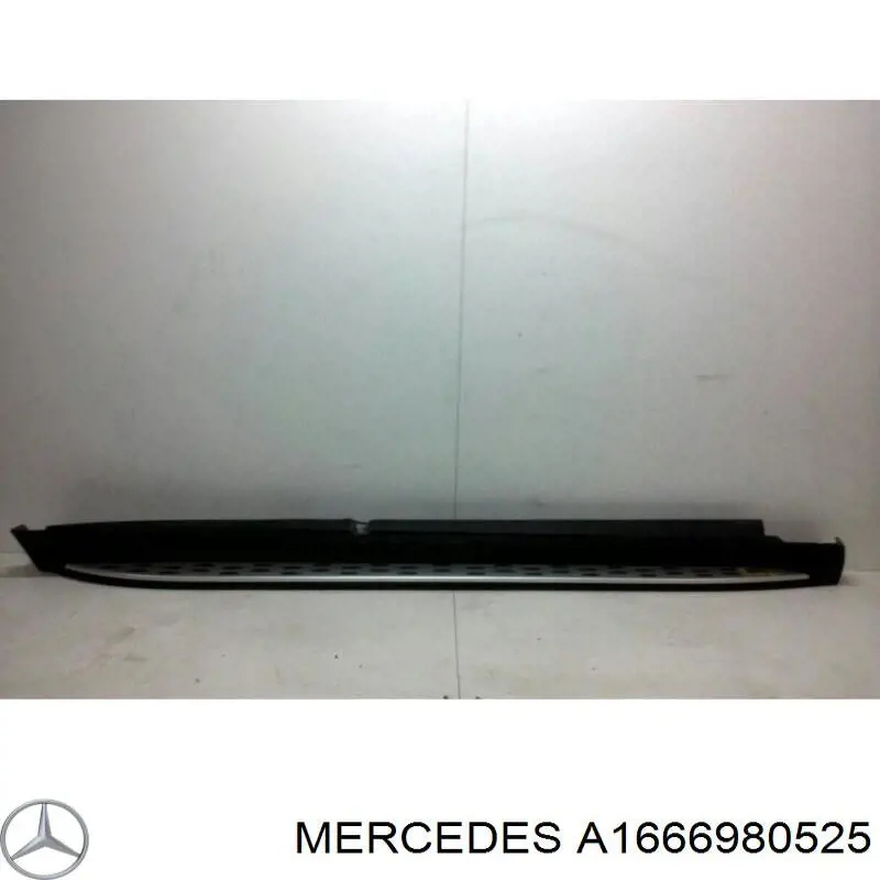 A1666980525 Mercedes 