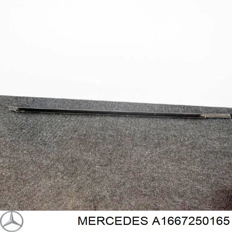 A1667250165 Mercedes 