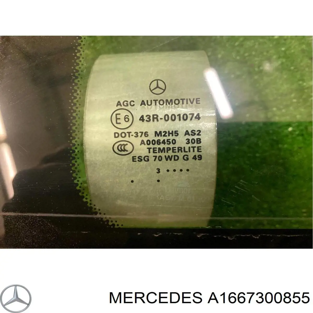  A1667300855 Mercedes