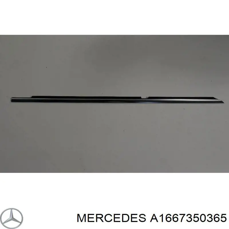 A1667350365 Mercedes 