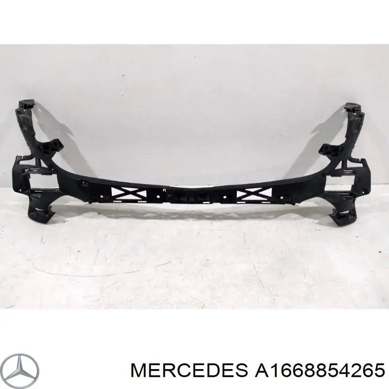  A1668854265 Mercedes