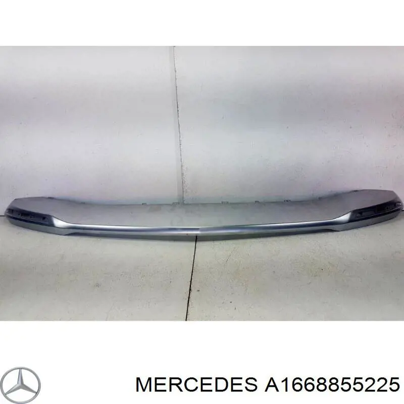 A1668855225 Mercedes