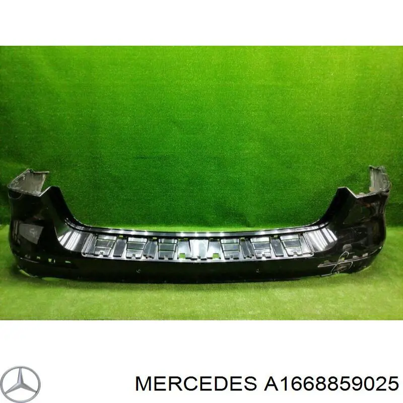 A1668859025 Mercedes 
